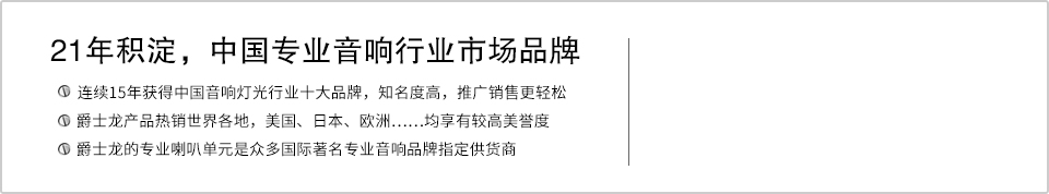 21年积淀，中国专业音响行业市场品牌